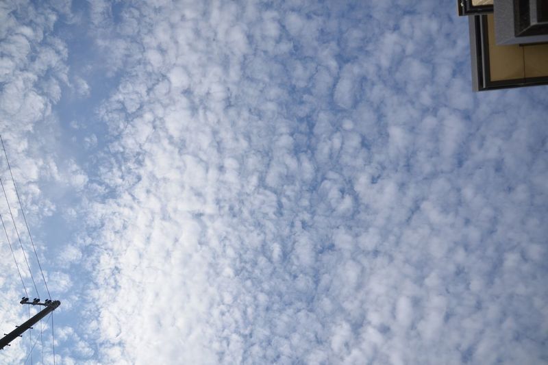うろこ雲.jpg