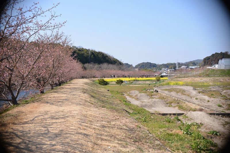 花川05.jpg