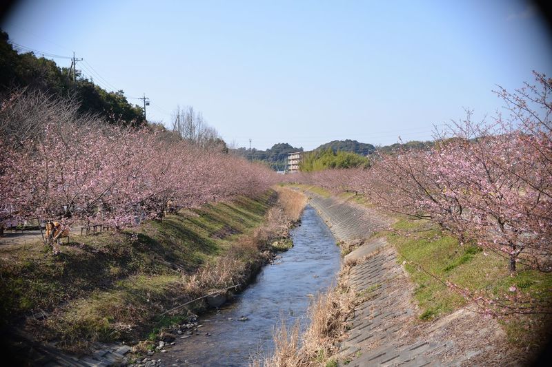 花川06.jpg