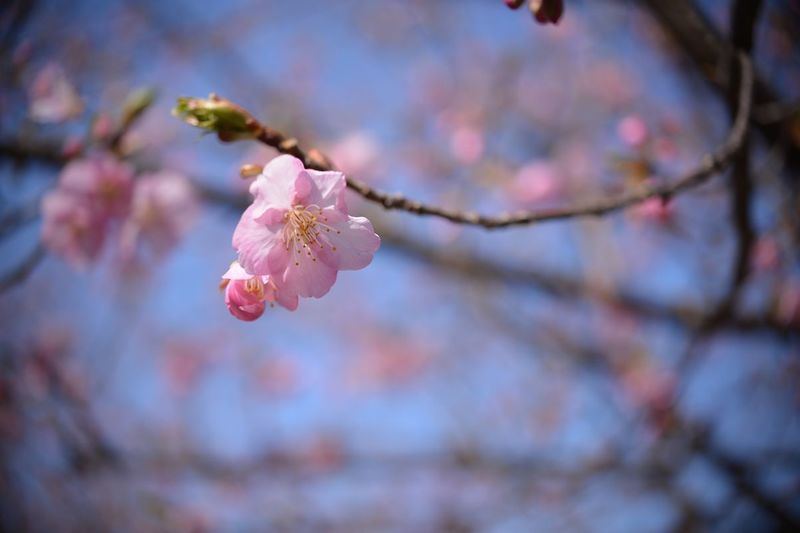 花川07.jpg