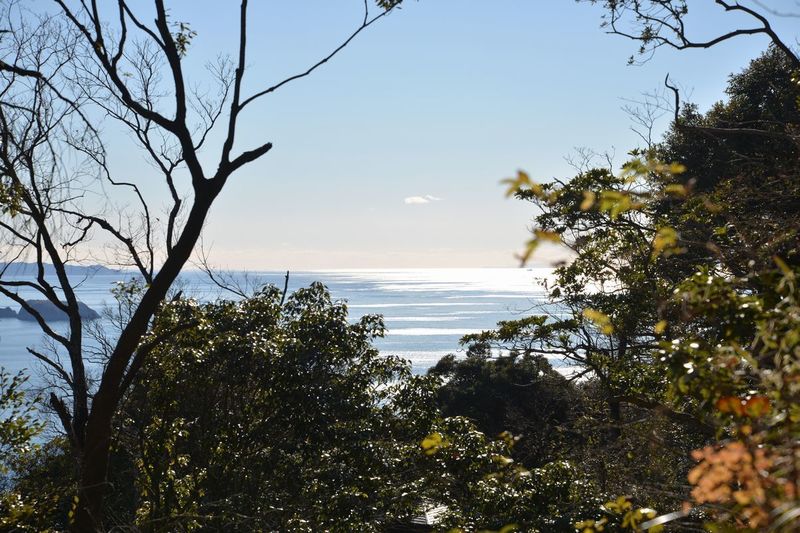 29鋸山.jpg