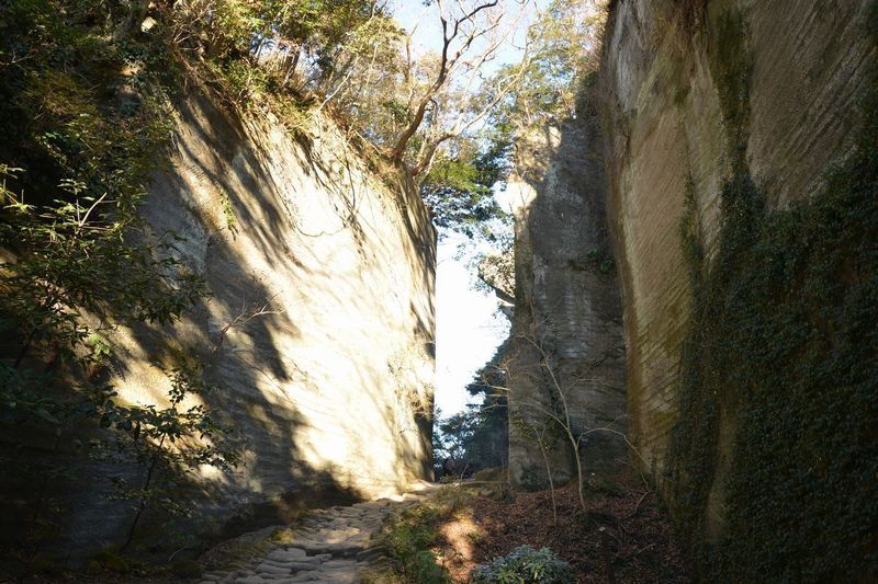 37鋸山.jpg