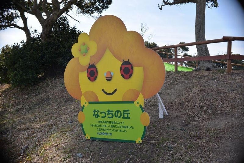 09菜の花G.jpg