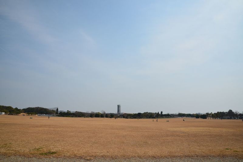 01HGPark.jpg