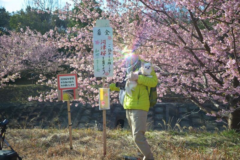 02東大山.jpg