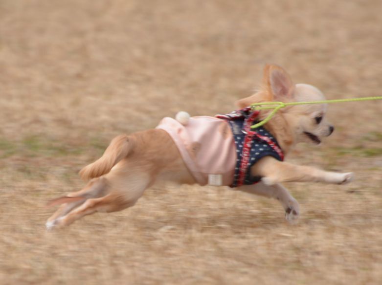 03都田総合.jpg