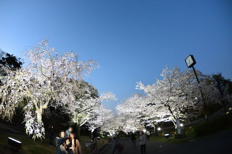 03Fパーク.jpg