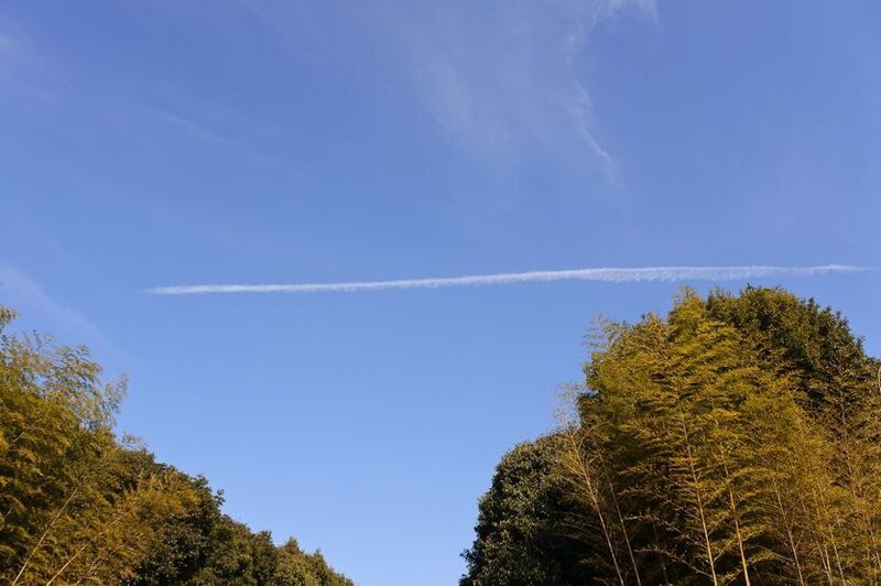 04ガーデンP.jpg