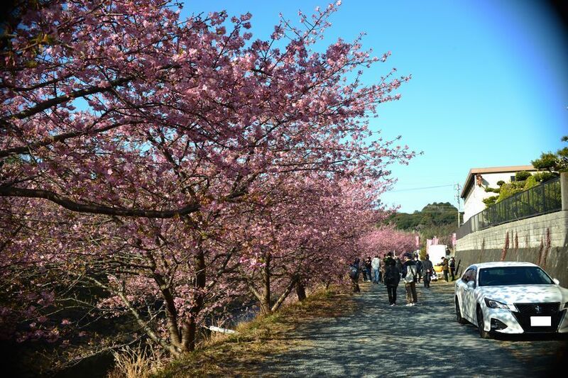 05東大山.jpg