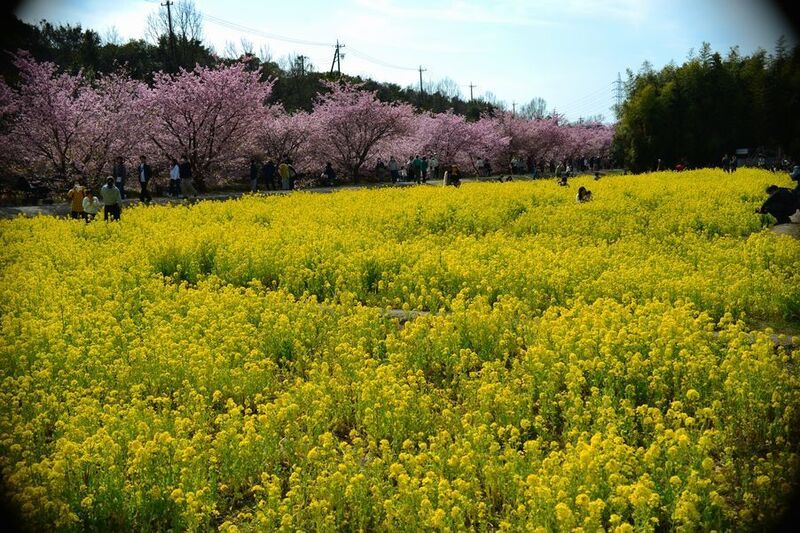 08東大山.jpg