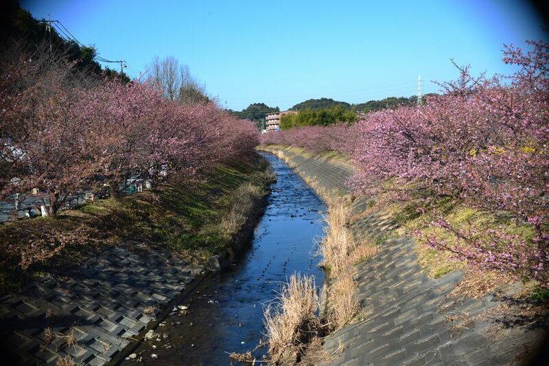 09東大山.jpg