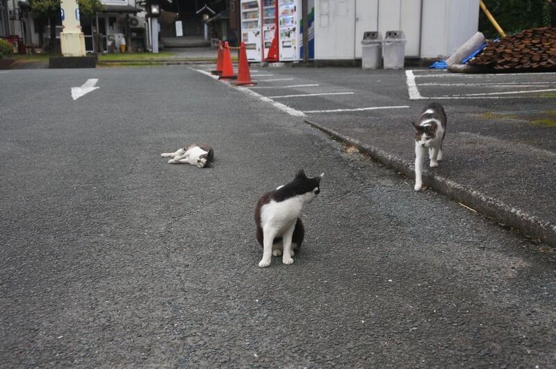 09秋葉.jpg