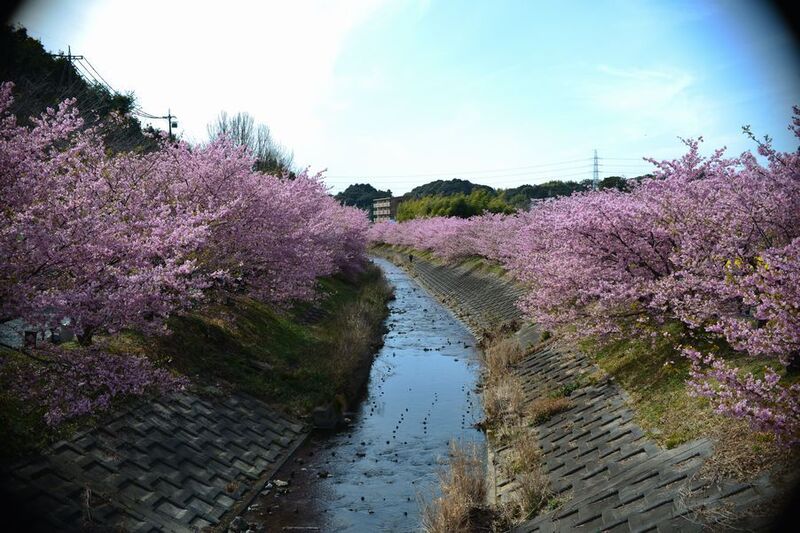 10東大山.jpg
