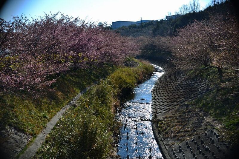10東大山.jpg