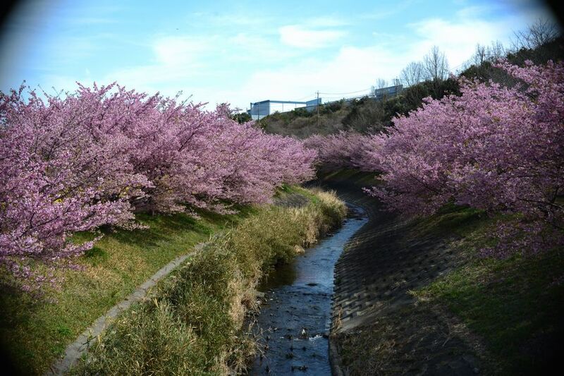 11東大山.jpg