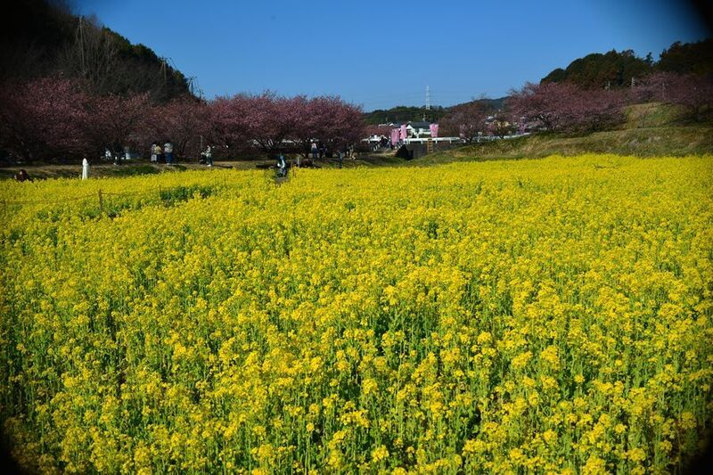 12東大山.jpg