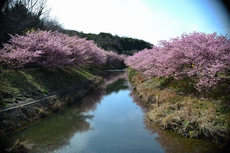 16東大山.jpg