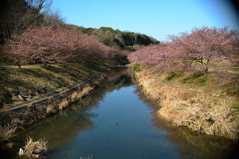 17東大山.jpg