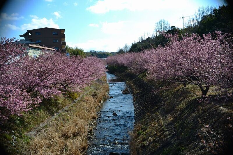 19東大山.jpg